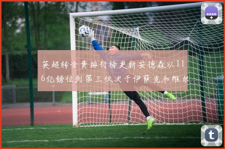 英超转会费排行榜更新安德森以116亿镑位列第三仅次于伊萨克和维尔茨