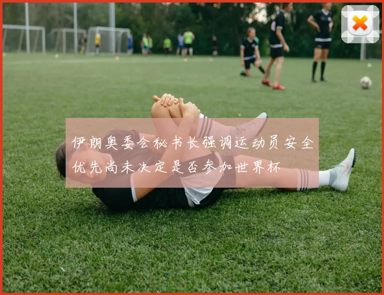 伊朗奥委会秘书长强调运动员安全优先尚未决定是否参加世界杯